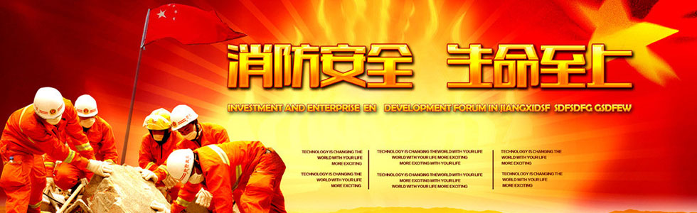 ������ȫ������������